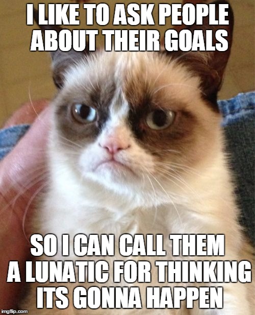 Grumpy Cat | I LIKE TO ASK PEOPLE ABOUT THEIR GOALS; SO I CAN CALL THEM A LUNATIC FOR THINKING ITS GONNA HAPPEN | image tagged in memes,grumpy cat | made w/ Imgflip meme maker