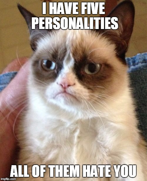 Grumpy Cat | I HAVE FIVE PERSONALITIES; ALL OF THEM HATE YOU | image tagged in memes,grumpy cat | made w/ Imgflip meme maker