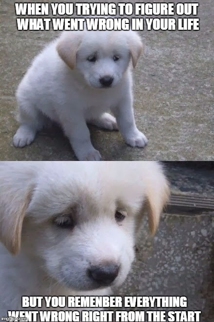 So true it hurts | WHEN YOU TRYING TO FIGURE OUT WHAT WENT WRONG IN YOUR LIFE; BUT YOU REMENBER EVERYTHING WENT WRONG RIGHT FROM THE START | image tagged in sad dog | made w/ Imgflip meme maker