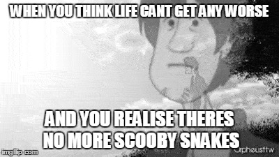 Gee scraps | WHEN YOU THINK LIFE CANT GET ANY WORSE; AND YOU REALISE THERES NO MORE SCOOBY SNAKES | image tagged in shaggy,life | made w/ Imgflip meme maker