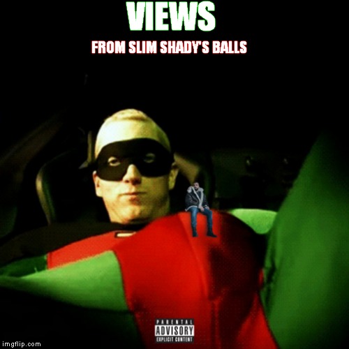 VIEWS | VIEWS; FROM SLIM SHADY'S BALLS | image tagged in views slimshady drake balls eminem | made w/ Imgflip meme maker