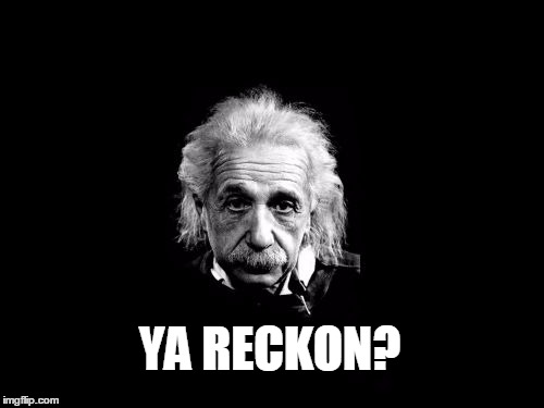 Albert Einstein 1 Meme | YA RECKON? | image tagged in memes,albert einstein 1 | made w/ Imgflip meme maker