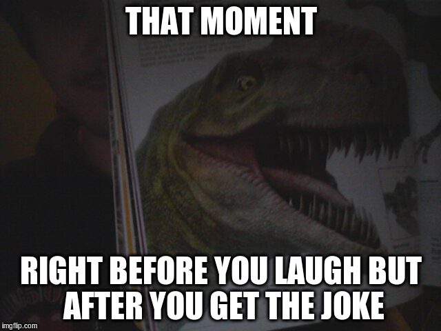 THAT MOMENT; RIGHT BEFORE YOU LAUGH
BUT AFTER YOU GET THE JOKE | image tagged in that moment | made w/ Imgflip meme maker