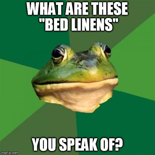 WHAT ARE THESE "BED LINENS" YOU SPEAK OF? | made w/ Imgflip meme maker
