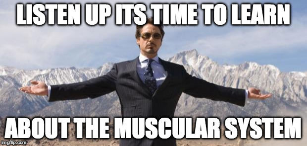 tony stark like a boss | LISTEN UP ITS TIME TO LEARN; ABOUT THE MUSCULAR SYSTEM | image tagged in tony stark like a boss | made w/ Imgflip meme maker