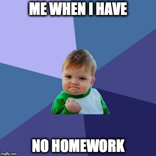 Success Kid | ME WHEN I HAVE; NO HOMEWORK | image tagged in memes,success kid | made w/ Imgflip meme maker