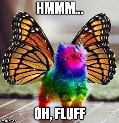 Rainbow unicorn butterfly kitten | HMMM... OH, FLUFF | image tagged in rainbow unicorn butterfly kitten | made w/ Imgflip meme maker