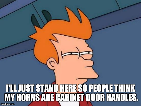 Futurama Fry | I'LL JUST STAND HERE SO PEOPLE THINK MY HORNS ARE CABINET DOOR HANDLES. | image tagged in memes,futurama fry | made w/ Imgflip meme maker