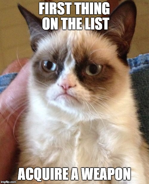 Grumpy Cat Meme | FIRST THING ON THE LIST ACQUIRE A WEAPON | image tagged in memes,grumpy cat | made w/ Imgflip meme maker
