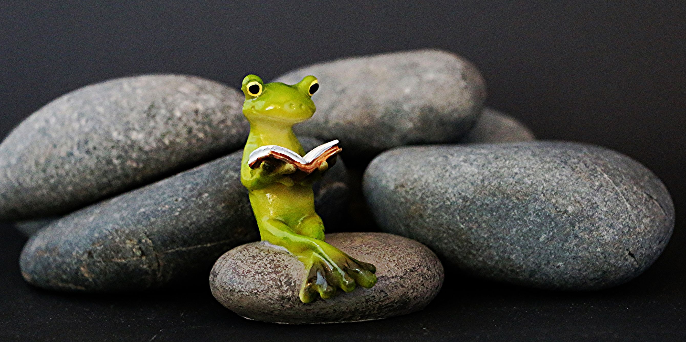 fffffff Blank Meme Template