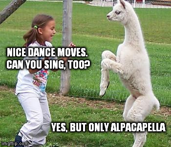 Disco alpaca | NICE DANCE MOVES. CAN YOU SING, TOO? YES, BUT ONLY ALPACAPELLA | image tagged in alpaca | made w/ Imgflip meme maker
