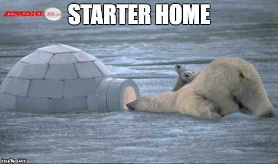STARTER HOME | made w/ Imgflip meme maker