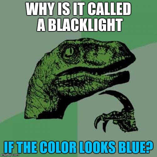 Philosoraptor | WHY IS IT CALLED A BLACKLIGHT; IF THE COLOR LOOKS BLUE? | image tagged in memes,philosoraptor | made w/ Imgflip meme maker