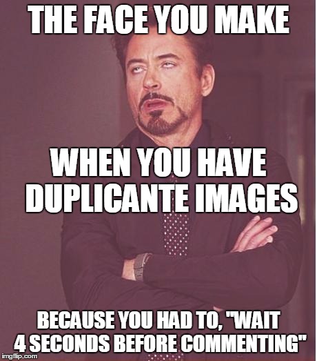 You are commenting a lot! Please wait 4 seconds before commenting again. | THE FACE YOU MAKE; WHEN YOU HAVE DUPLICANTE IMAGES; BECAUSE YOU HAD TO, "WAIT 4 SECONDS BEFORE COMMENTING" | image tagged in memes,face you make robert downey jr,funny,jedarojr,imgflip,wait 4 seconds | made w/ Imgflip meme maker
