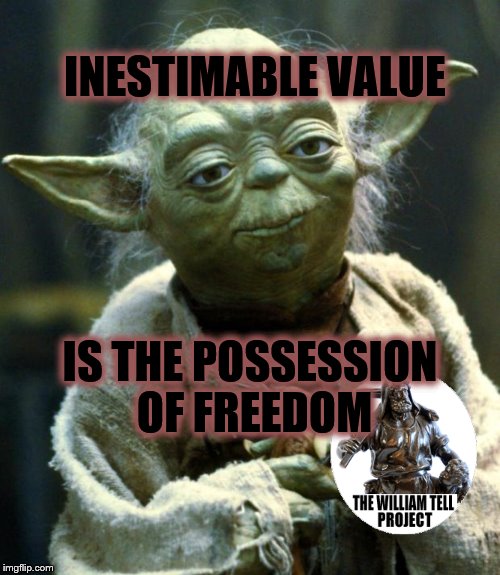 Star Wars Yoda Meme | INESTIMABLE VALUE; IS THE POSSESSION OF FREEDOM | image tagged in memes,star wars yoda | made w/ Imgflip meme maker