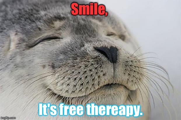 Satisfied Seal | Smile, It's free thereapy. | image tagged in memes,satisfied seal | made w/ Imgflip meme maker