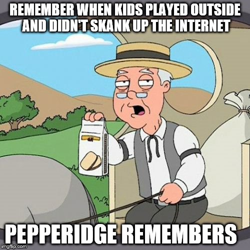 Damn kids
 | REMEMBER WHEN KIDS PLAYED OUTSIDE AND DIDN'T SKANK UP THE INTERNET; PEPPERIDGE REMEMBERS | image tagged in memes,pepperidge farm remembers | made w/ Imgflip meme maker