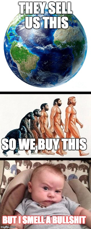 pushing crap | THEY SELL US THIS; SO WE BUY THIS; BUT I SMELL A BULLSHIT | image tagged in flat earth,creationism,media | made w/ Imgflip meme maker