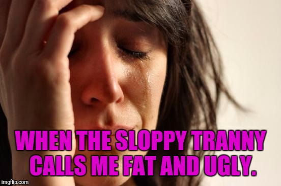 First World Problems Meme |  WHEN THE SLOPPY TRANNY CALLS ME FAT AND UGLY. | image tagged in memes,first world problems | made w/ Imgflip meme maker