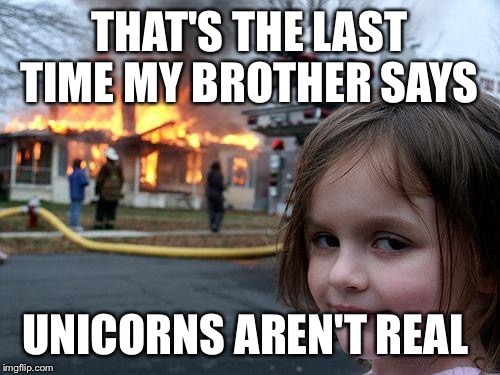 Disaster Girl Meme | THAT'S THE LAST TIME MY BROTHER SAYS; UNICORNS AREN'T REAL | image tagged in memes,disaster girl | made w/ Imgflip meme maker