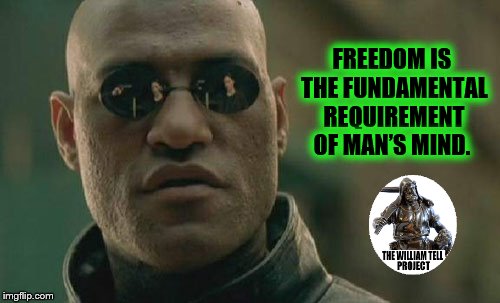 Matrix Morpheus Meme | FREEDOM IS THE FUNDAMENTAL REQUIREMENT OF MAN’S MIND. | image tagged in memes,matrix morpheus | made w/ Imgflip meme maker