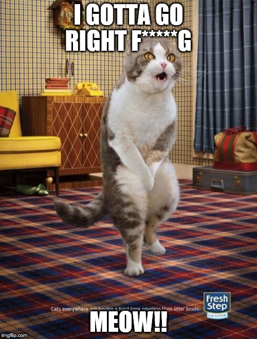 Gotta Go Cat | I GOTTA GO RIGHT F*****G; MEOW!! | image tagged in memes,gotta go cat | made w/ Imgflip meme maker