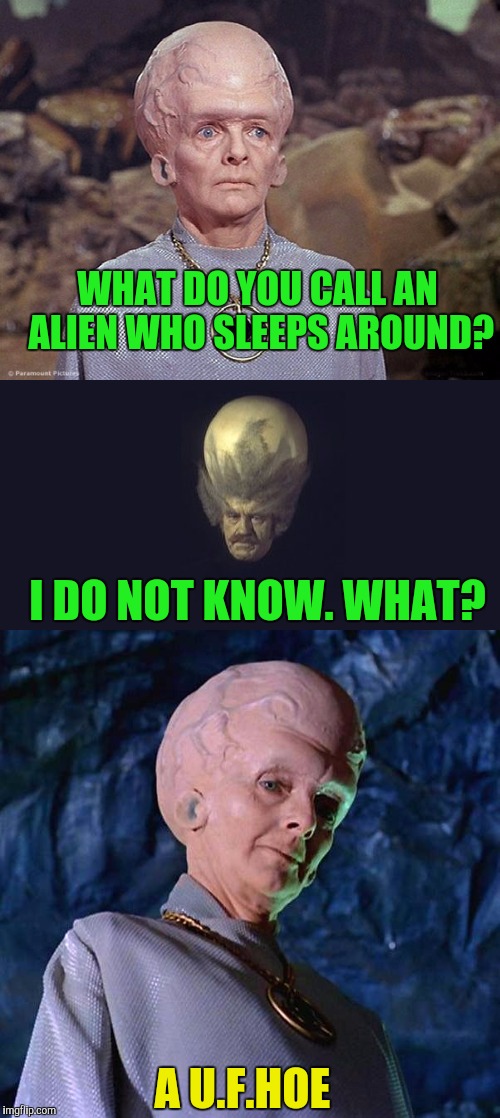 Bad joke baldie | WHAT DO YOU CALL AN ALIEN WHO SLEEPS AROUND? I DO NOT KNOW. WHAT? A U.F.HOE | image tagged in ancient aliens,aliens | made w/ Imgflip meme maker
