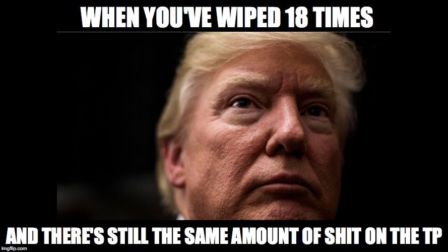 The Trump Dump (it's o.k. Donald, we've all been there) | WHEN YOU'VE WIPED 18 TIMES; AND THERE'S STILL THE SAME AMOUNT OF SHIT ON THE TP | image tagged in dump,trump,toilet humor,toilet paper,poop,donald trump | made w/ Imgflip meme maker