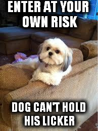 the most interesting dog in the world | ENTER AT YOUR OWN RISK; DOG CAN'T HOLD HIS LICKER | image tagged in the most interesting dog in the world | made w/ Imgflip meme maker