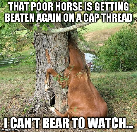 real horses | THAT POOR HORSE IS GETTING BEATEN AGAIN ON A CAP THREAD; I CAN'T BEAR TO WATCH... | image tagged in real horses | made w/ Imgflip meme maker