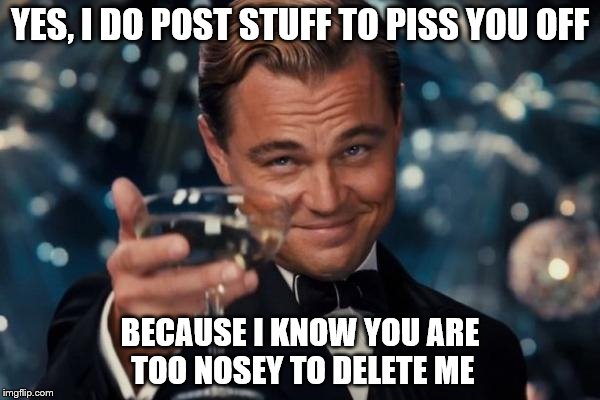 This one's for you | YES, I DO POST STUFF TO PISS YOU OFF; BECAUSE I KNOW YOU ARE TOO NOSEY TO DELETE ME | image tagged in memes,leonardo dicaprio cheers | made w/ Imgflip meme maker