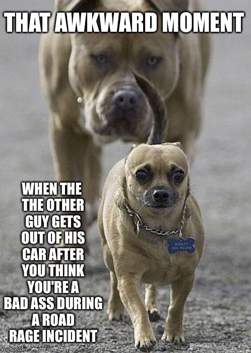 Dogs | THAT AWKWARD MOMENT; WHEN THE THE OTHER GUY GETS OUT OF HIS CAR AFTER YOU THINK YOU'RE A BAD ASS DURING A ROAD RAGE INCIDENT | image tagged in dogs | made w/ Imgflip meme maker