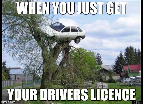 Secure Parking Meme | WHEN YOU JUST GET; YOUR DRIVERS LICENCE | image tagged in memes,secure parking | made w/ Imgflip meme maker