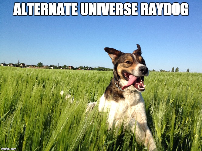 ALTERNATE UNIVERSE RAYDOG | made w/ Imgflip meme maker