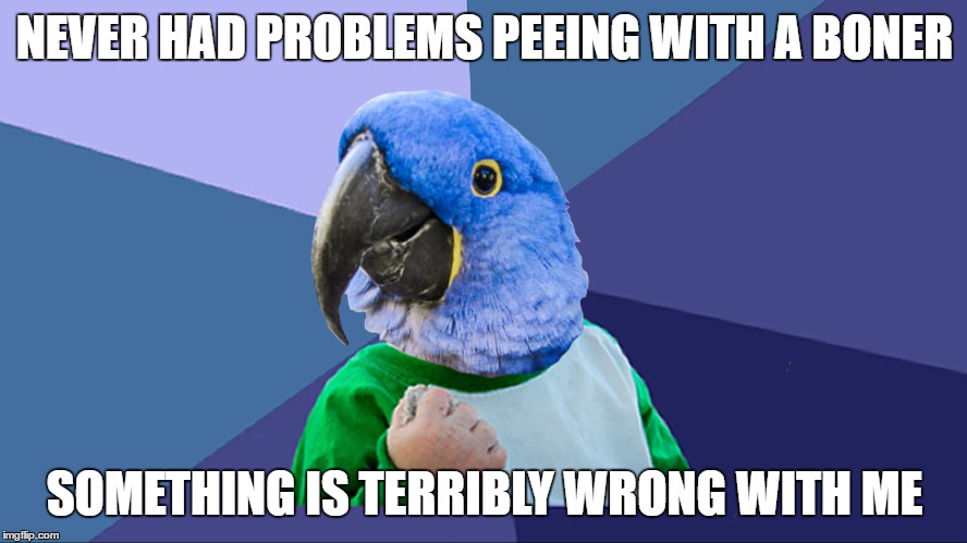 NEVER HAD PROBLEMS PEEING WITH A BONER; SOMETHING IS TERRIBLY WRONG WITH ME | image tagged in paranoid parrot,success kid,boner,peeing,memes,AdviceAnimals | made w/ Imgflip meme maker