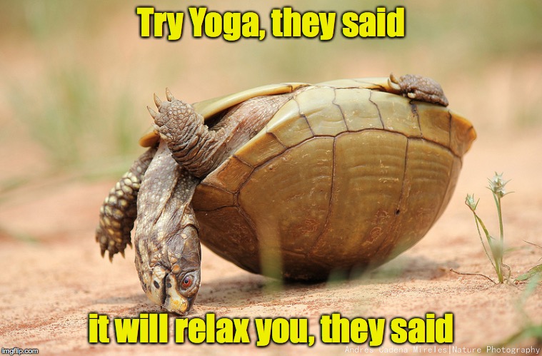 So now what do I do? | Try Yoga, they said; it will relax you, they said | image tagged in turtle,yoga | made w/ Imgflip meme maker