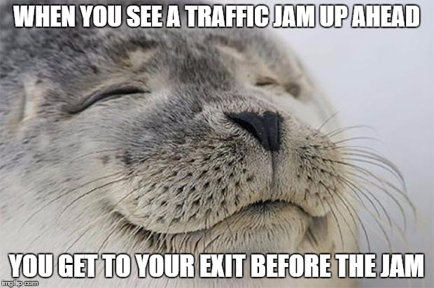 Satisfied Seal | WHEN YOU SEE A TRAFFIC JAM UP AHEAD; YOU GET TO YOUR EXIT BEFORE THE JAM | image tagged in memes,satisfied seal,AdviceAnimals | made w/ Imgflip meme maker