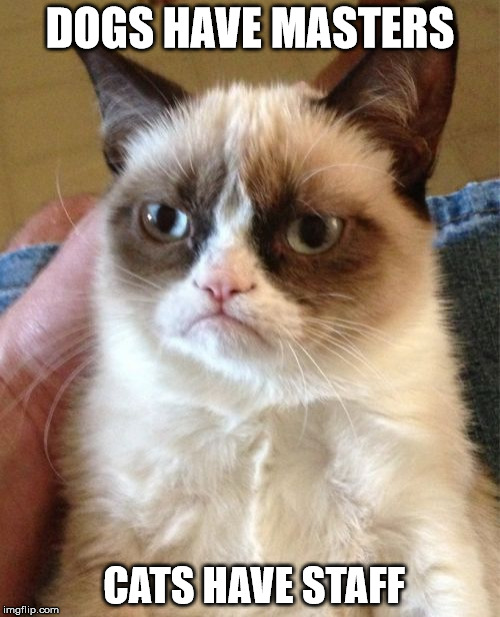 Grumpy Cat | DOGS HAVE MASTERS; CATS HAVE STAFF | image tagged in memes,grumpy cat | made w/ Imgflip meme maker