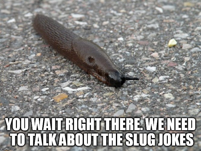 YOU WAIT RIGHT THERE. WE NEED TO TALK ABOUT THE SLUG JOKES | made w/ Imgflip meme maker