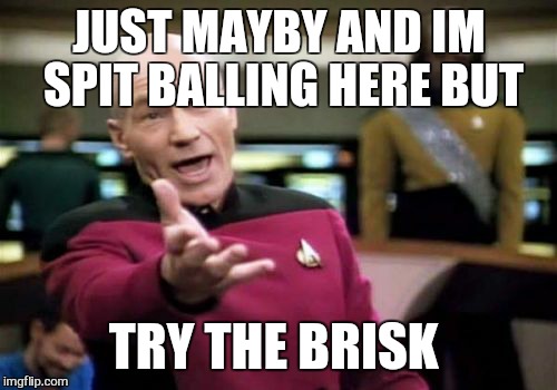 Picard Wtf Meme | JUST MAYBY AND IM SPIT BALLING HERE BUT TRY THE BRISK | image tagged in memes,picard wtf | made w/ Imgflip meme maker