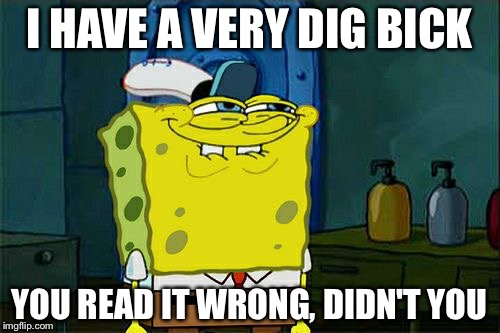 Don't You Squidward | I HAVE A VERY DIG BICK; YOU READ IT WRONG, DIDN'T YOU | image tagged in memes,dont you squidward,spongebob | made w/ Imgflip meme maker