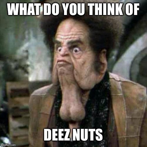 Deez nuts | WHAT DO YOU THINK OF; DEEZ NUTS | image tagged in ballchinin | made w/ Imgflip meme maker