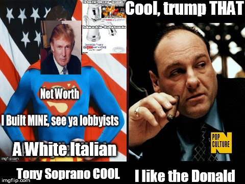 A White Italian; Tony Soprano COOL | image tagged in trump,a white italiantony soprano cool | made w/ Imgflip meme maker