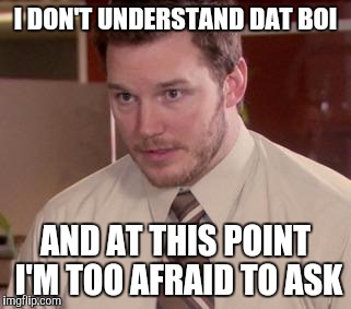 Andy Dwyer | I DON'T UNDERSTAND DAT BOI; AND AT THIS POINT I'M TOO AFRAID TO ASK | image tagged in andy dwyer | made w/ Imgflip meme maker