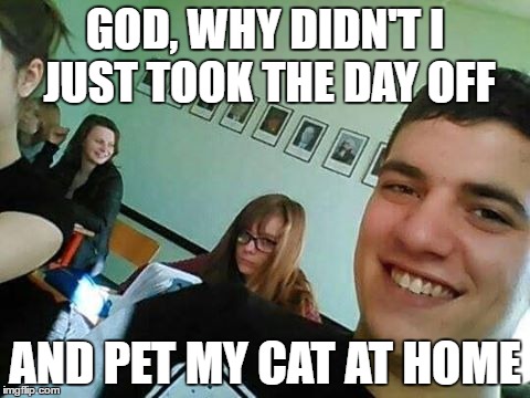 GOD, WHY DIDN'T I JUST TOOK THE DAY OFF; AND PET MY CAT AT HOME | image tagged in cats | made w/ Imgflip meme maker