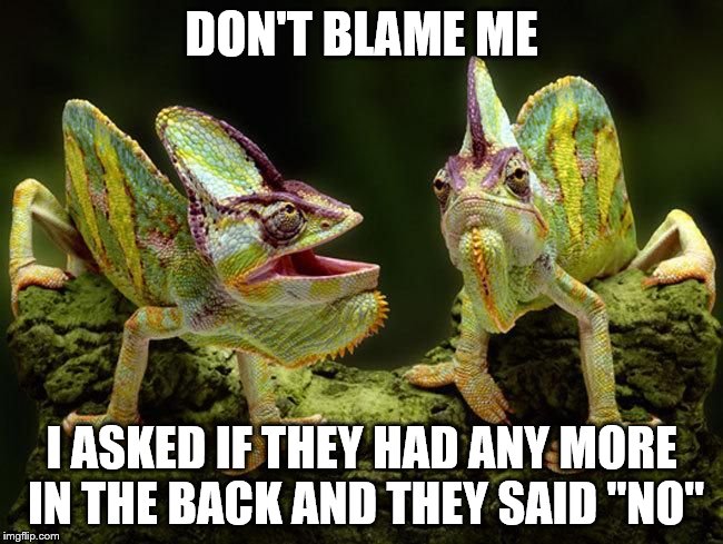 chameleons | DON'T BLAME ME I ASKED IF THEY HAD ANY MORE IN THE BACK AND THEY SAID "NO" | image tagged in chameleons | made w/ Imgflip meme maker