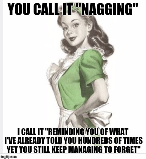 50's housewife | YOU CALL IT "NAGGING"; I CALL IT "REMINDING YOU OF WHAT I'VE ALREADY TOLD YOU HUNDREDS OF TIMES YET YOU STILL KEEP MANAGING TO FORGET" | image tagged in 50's housewife | made w/ Imgflip meme maker