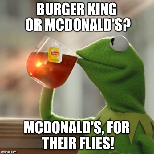 Kermit frog tea | BURGER KING OR MCDONALD'S? MCDONALD'S, FOR THEIR FLIES! | image tagged in kermit frog tea | made w/ Imgflip meme maker