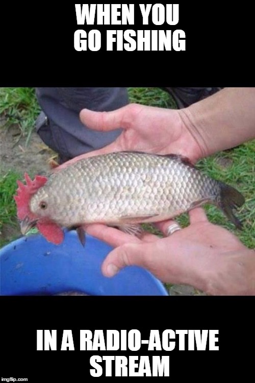 Chicken Fish | WHEN YOU GO FISHING; IN A RADIO-ACTIVE STREAM | image tagged in chicken fish | made w/ Imgflip meme maker