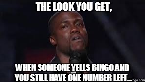 THE LOOK YOU GET, WHEN SOMEONE YELLS BINGO AND YOU STILL HAVE ONE NUMBER LEFT... | image tagged in bingo | made w/ Imgflip meme maker